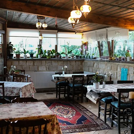 Turkish Cave House Ortahisar