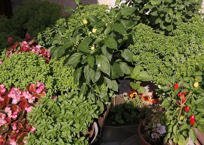 Turkish Cave House Отель Ортахисар